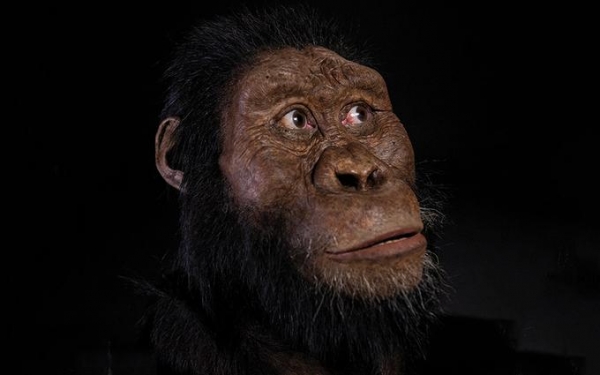 Посмотрите, как выглядели наши предки, жившие почти 4 миллиона лет назад